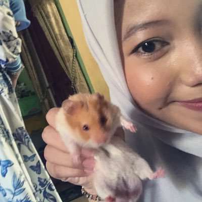 kyl1681964's profile picture. 