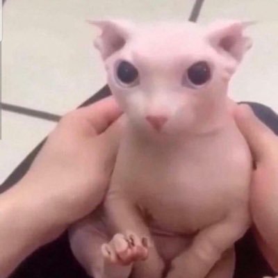 DatBoiIRL's profile picture. Changed my profile cus it’s cringe