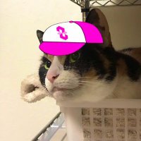ロボリア (@roboria1) 's Twitter Profile Photo ロボリア (@roboria1) 's Twitter Profile Photo