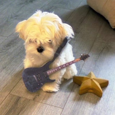 takeasunshower_'s profile picture. 감성가나지락밴드일상계