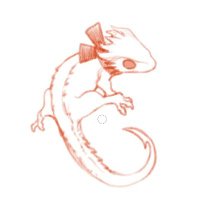 cc (@cc00oe) 's Twitter Profile Photo