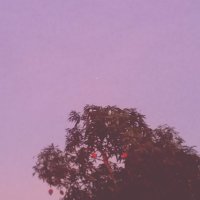 . (@firififanfo) 's Twitter Profile