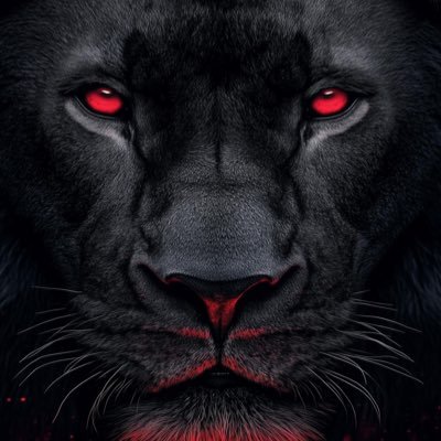 EssaidKhel3411's profile picture. 