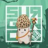 polarpandalife's profile picture. marketer for @surgence_io. likes to strategize and learn new things.