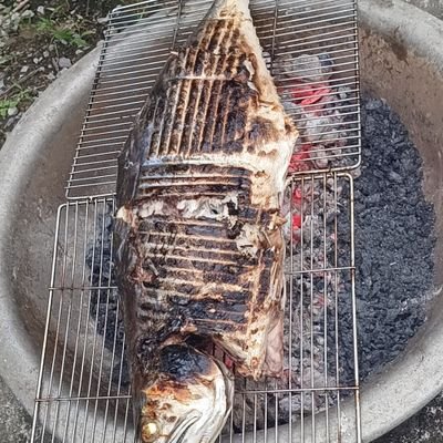 huynhqbqn33519's profile picture. 