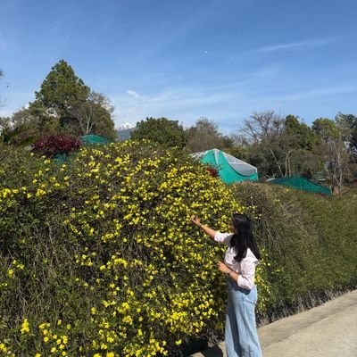 ananya_1111's profile picture. Intern