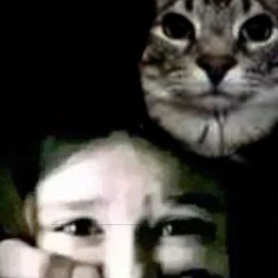 bernsbergcanon's profile picture. 