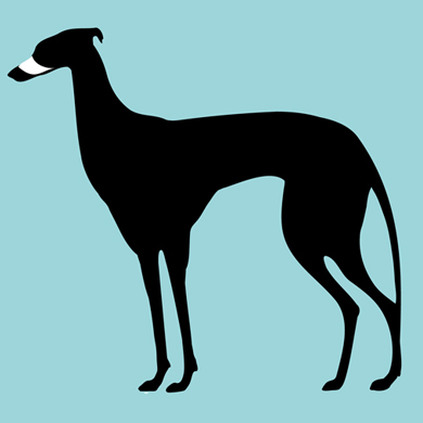 BusterMelb's profile picture. A new collective of digital artists.