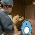 Role play (@medicallz) Twitter profile photo Role play (@medicallz) Twitter profile photo