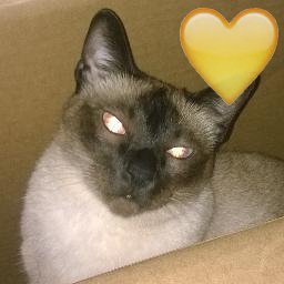 carmonaelsa1's profile picture. 