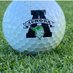 AHS Boys golf (@ahsboysgolf2025) Twitter profile photo AHS Boys golf (@ahsboysgolf2025) Twitter profile photo