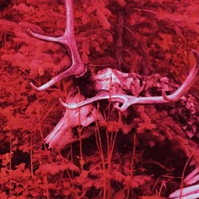 アカヒトさんのプロフィール画像