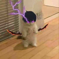 sapfire955 (@sapfire955) Twitter profile photo
