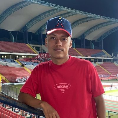 gregorip02's profile picture. Software engineer.