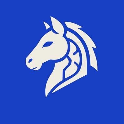 overfitting_ml's profile picture. SWE | Building for freedom!