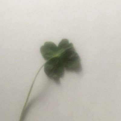 llliilll25__'s profile picture. 