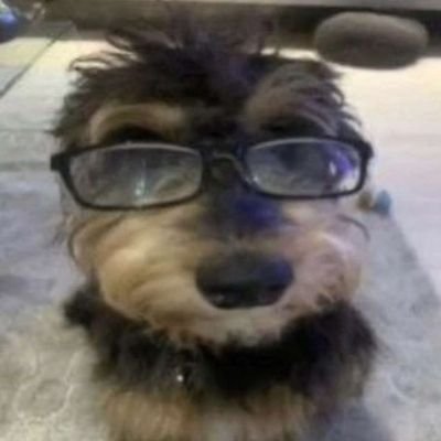 itsAllie0's profile picture. 