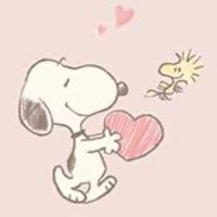 たえ (@tae_no_x) 's Twitter Profile