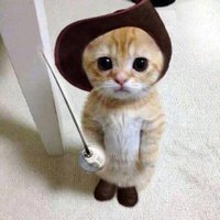 Feride ama Çalıkuşu değil (@ferideyimdir) 's Twitter Profile
