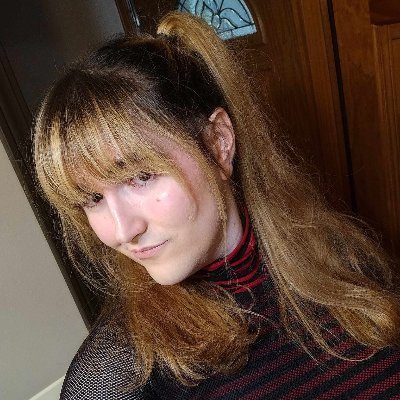 @Suparsonik@tech.lgbtさんのプロフィール画像
