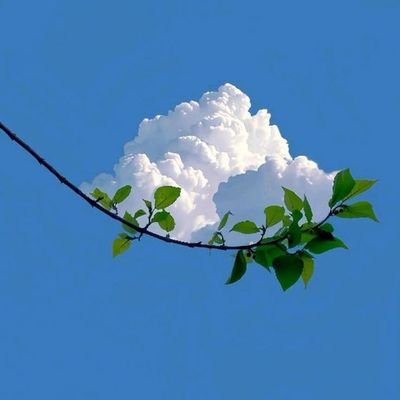 Rêveur invétéré. Je vis dans mes rêves, je rêve dans mes rêves. La vie c'est aussi rêvé.