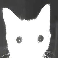 ||πππππππππΌππγπ|| (@3rr0r_editz) 's Twitter Profile