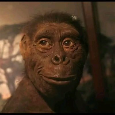 TheJalenBrock's profile picture. 