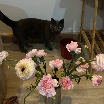 loquebubu's profile picture. 🎱 💤 ♡̩͙ 👻