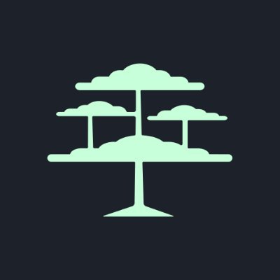 Bonsai π³ Profile
