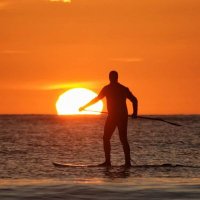 Martin Said (@saidthemac) Twitter profile photo