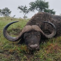 WG (@drwjgoosen) 's Twitter Profile Photo WG (@drwjgoosen) 's Twitter Profile Photo