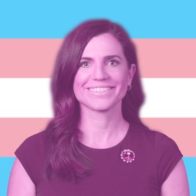 EVILNancyMace's profile picture. IHOP ➡ Citadel ➡ Congresswoman Representing North Carolina. Endorsed by Joe Biden. FAKE WOMAN. Pronouns in bio = opinion discarded. PARODY