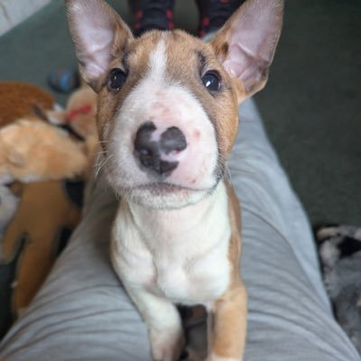 GaryO473007's profile picture. 