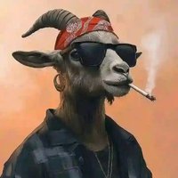 Razii Destro (@destrorazii) 's Twitter Profile