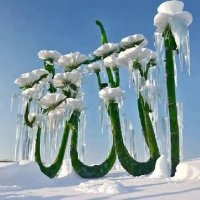 عبقری نصیب abqarix naseeb (@abqarixn) 's Twitter Profile
