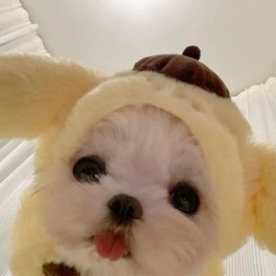 jdxhgk602's profile picture. 𝔄 𝔠𝔥𝔞𝔫𝔠𝔢 𝔪𝔢𝔢𝔱𝔦𝔫𝔤 𝔦𝔰 𝔱𝔥𝔢 𝔪𝔬𝔰𝔱 𝔫𝔬𝔫-𝔠𝔥𝔞𝔫𝔠𝔢 𝔱𝔥𝔦𝔫𝔤 𝔦𝔫 𝔱𝔥𝔢 𝔴𝔬𝔯𝔩𝔡