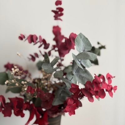 ClaireAtli's profile picture. Cyber sécurité