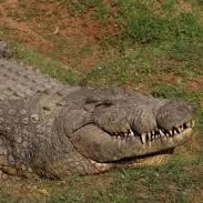 ifhjbbgf648's profile picture. 