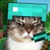Craven Knight (@cravenknight98) Twitter profile photo Craven Knight (@cravenknight98) Twitter profile photo