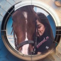 amolh (@xamal_m) 's Twitter Profile