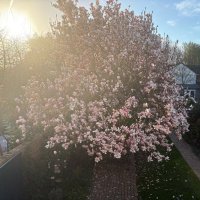 Notes of an unexpected grief (@notes_grief) 's Twitter Profile