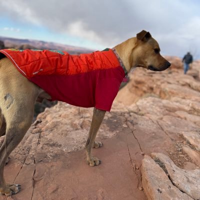 steven_sprout's profile picture. Marine Veteran, Mustang, Drill Instructor, SNCO, CWO, O-5, COO Hop Flyt, Inc.
