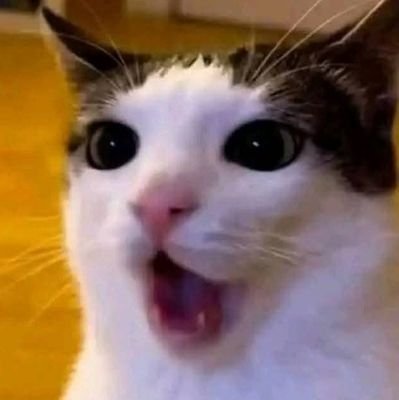 FilipineArtick's profile picture. 