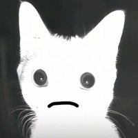 spirits (@shaojiuzhuzhou1) 's Twitter Profile Photo