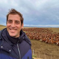 Francisco Ibarra (@franketabonza) 's Twitter Profile Photo Francisco Ibarra (@franketabonza) 's Twitter Profile Photo