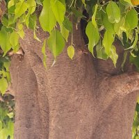María Luisa 💚🍉 (@marialuisarubio) 's Twitter Profile Photo María Luisa 💚🍉 (@marialuisarubio) 's Twitter Profile Photo