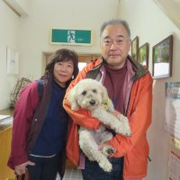 古民家民泊 井戸家住宅 With Dog (@topgear7788) 's Twitter Profile Photo