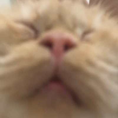 loveleogirl's profile picture. a pior pessoa do mundo