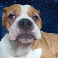 Lilo (@lilo_fee) Twitter profile photo