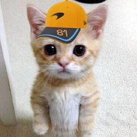 mcl39wdc ∞ᶠᵃⁱᵗʰ∞ (@mclwdc) 's Twitter Profile Photo mcl39wdc ∞ᶠᵃⁱᵗʰ∞ (@mclwdc) 's Twitter Profile Photo
